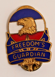 TT947: Army Freedoms Guardian Forces Regimentsabzeichen
