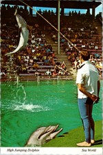 Orlando Florida FL: Sea World Tourist Attraction j/26 BR0540