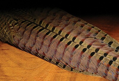Hareline Dubbin' DYED RINGNECK PHEASANT COMPLETE TAIL CLUMP Fly Tying Feathers