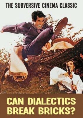 Can Dialectics Break Bricks (DVD)