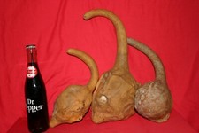 MARANKA GOURDS SET OF 3 WASHED GOURDS 