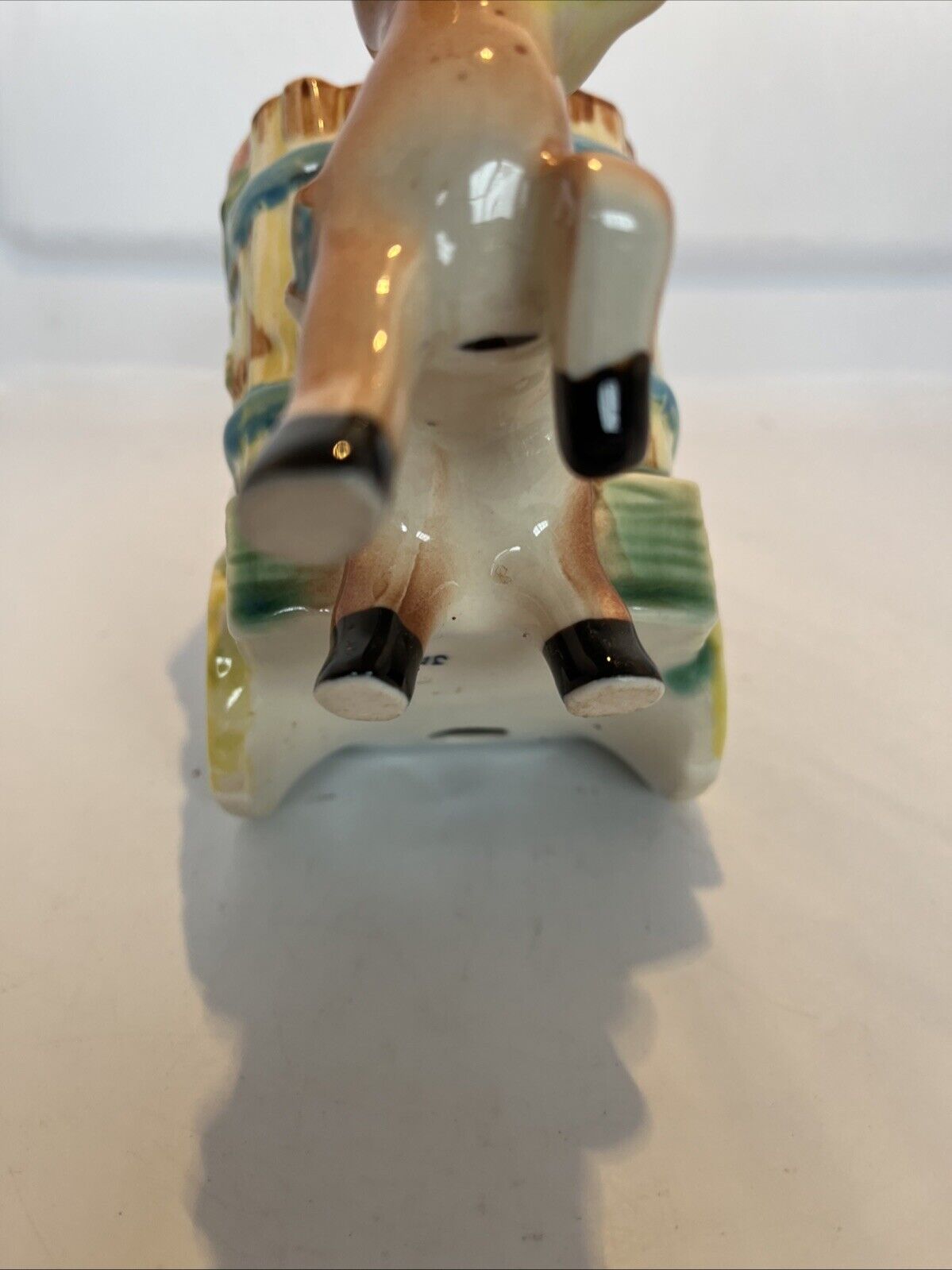 Picture 13 of 15