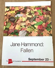 Jane Hammond at FLAG gallery exhibition ad 2011 vintage art magzine print Fallen