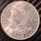 1880 Philadelphia Morgan Silver Dollar