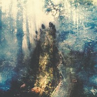Sylvaine - Wistful - Cd - G72Z