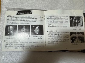 Terra Cresta 3D Saturn NippBussan Nichibutsu Japan kg