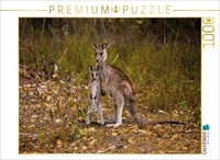 Calvendo Puzzle An Image From The 2019 Wild Kangaroos Calendar | 1000 Pieces, Fi