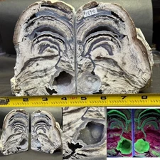 SEE VIDEO: RARE  WHITE COLOR  "  SW FLUORESCENT  DUGWAY GEODE BOOK ENDS , UTAH.