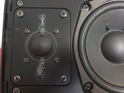 Nakamichi Sp-350 Stationary Sealed 2-Way Speaker High-Fidelity