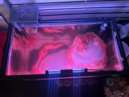 20 gallon High aquarium Starter kit with Sandfall and Driftwood - Picture 2 of 3