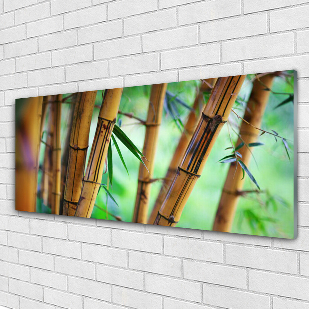Tableau mural Plexiglas 125x50 cm décor Nature Bambou, panneau panoramique