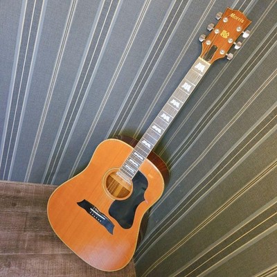 Morris MG-50 Acoustic Guitar Guitar Acoustic Guitar Morris Acoustic Guitar