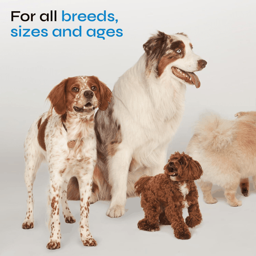Probiotics for Dogs Chews for Digestive and Gut Health Dental Immune System - Picture 7 of 8