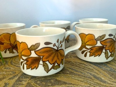 Set Of Six Mugs And Saucer Crafted By Royal Worcester Palissy Kismet Serve ware