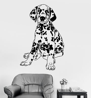 Vinyl Wall Decal Dalmatian Pedigree Dog Pet Shop Vet Clinic Stickers 832ig