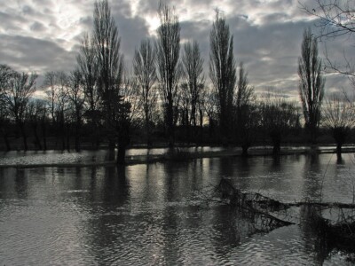 Foto 12x8 Die Cam bei Newnham im Januar Cambridge \/TL4658 Der Fluss hat o c2016
