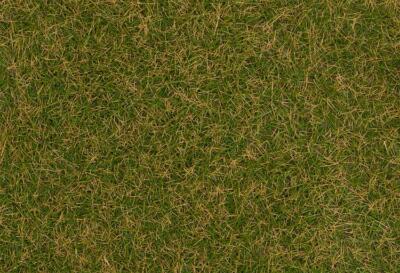Faller 170259 - H0 / TT / N Streufasern Wildgras, 4 mm, 1 kg