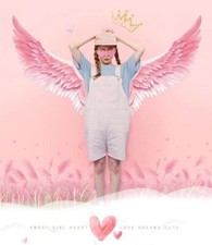 Removable art Vinyl Wall Decal angel wings Girls Sticker Home living Room Decor