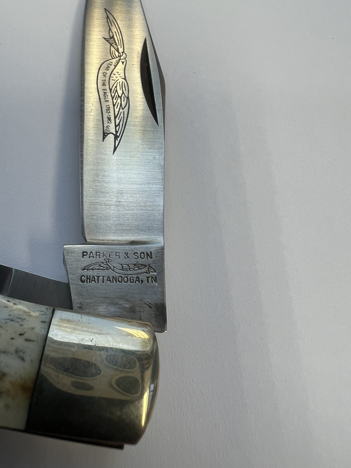 Parker & Son Knife Chattanooga TN Wildlife Series Second Cut Stag K