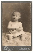 Photograph Carl Bosnjak, Vienna, Hetzendorferstra�e 120, portrait of a small Ki
