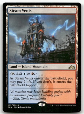 Steam Vents #257 (NM) Guilds of Ravnica GRN Magic MTG