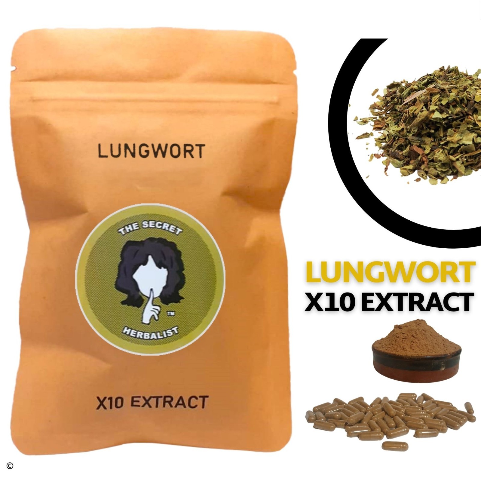 Lungenkraut - Pulmonaria officinalis - X10 Extrakt