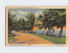 Postcard Tropical Walk in Bayfront Park Miami Florida Postcard Tropical Walk in Bayfront Park Miami Florida