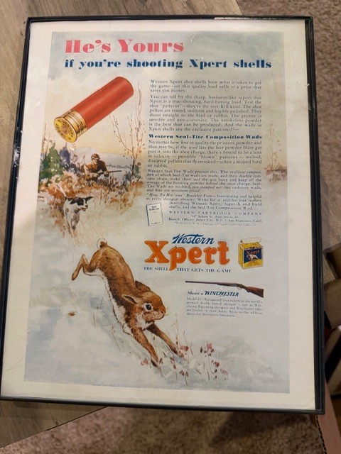 9x11framed western expert shotgun shell winchester add rabbit beagle