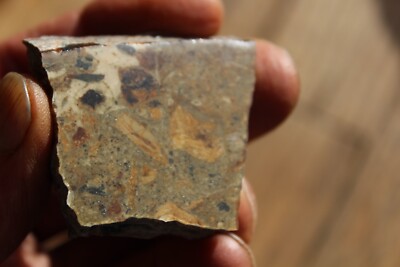 MINERAL   NATIVE SILVER Very Rare Locality New Mexico 44 gram Specimen  #6