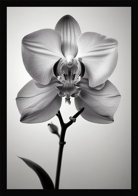 Vibrant Orchid Framed Wall Art Poster Canvas Print Picture