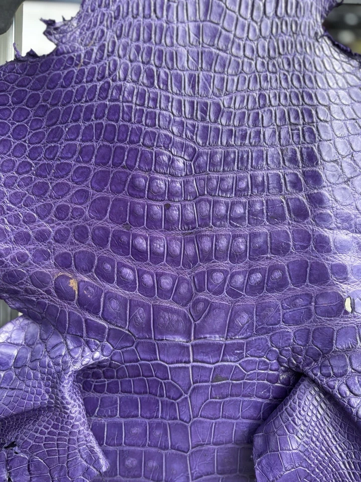 Caimán salvaje genuino curtido profesionalmente en púrpura Foto 2 de 4
