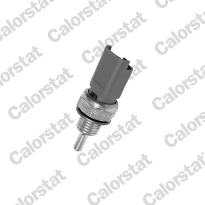 KÜHlmitteltemperatursensor FÜR Peugeot, CitroËN, DS - Calorstat by Vernet WS2606-image
