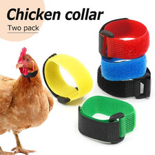 2PCS Anti Crow Collar for Roosters Cockerel No Crow Noise Neck Belt Nylon AU