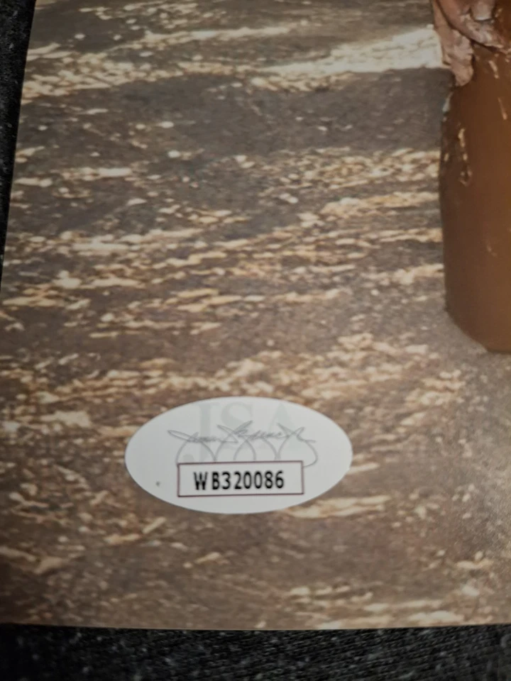 Foto autógrafa firmada por Torrie Wilson Diva Salón de la Fama de la WWE 8x10 testigo de JSA Foto 2 de 2