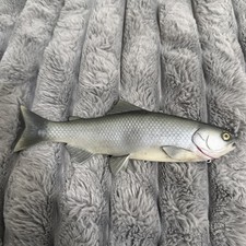 Baitsmith OG  ” kokanne H  swimbait 9” SUPER RARE Red Gills