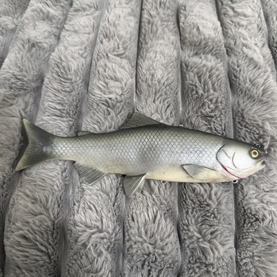 Baitsmith OG    kokanne H  swimbait 9  SUPER RARE Red Gills