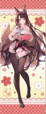 AZUR LANE X HMV 2024 Akagi Tapestry Apron Ver Life Size Japan New