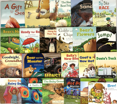 1st Grade Readers Multi-Level Reading Library #1   23 Books Levels E-J