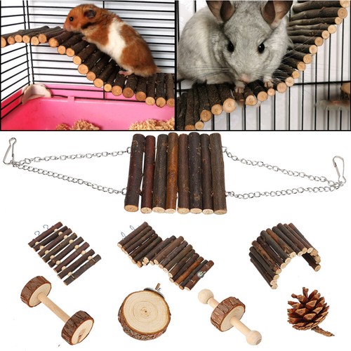 gerbil hanging toys