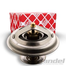 Thermostat Audi 200