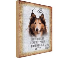 Holzschild 30X20 Cm Collie Hund Freundlich Tier Haustier Deko Geschenk Holz Schi