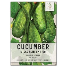 Wisconsin SMR-58 Cucumber Seeds For Planting (Cucumis sativus)