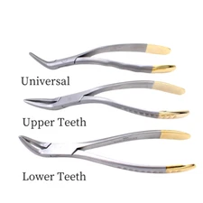 Dental Tooth Extracting Forceps Extraction Dental Instruments 3 Sizes