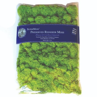 SuperMoss Preserved Reindeer Moss - 8oz Bag - Chartreuse