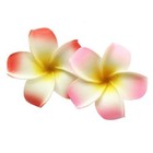 Bild 26 von 46