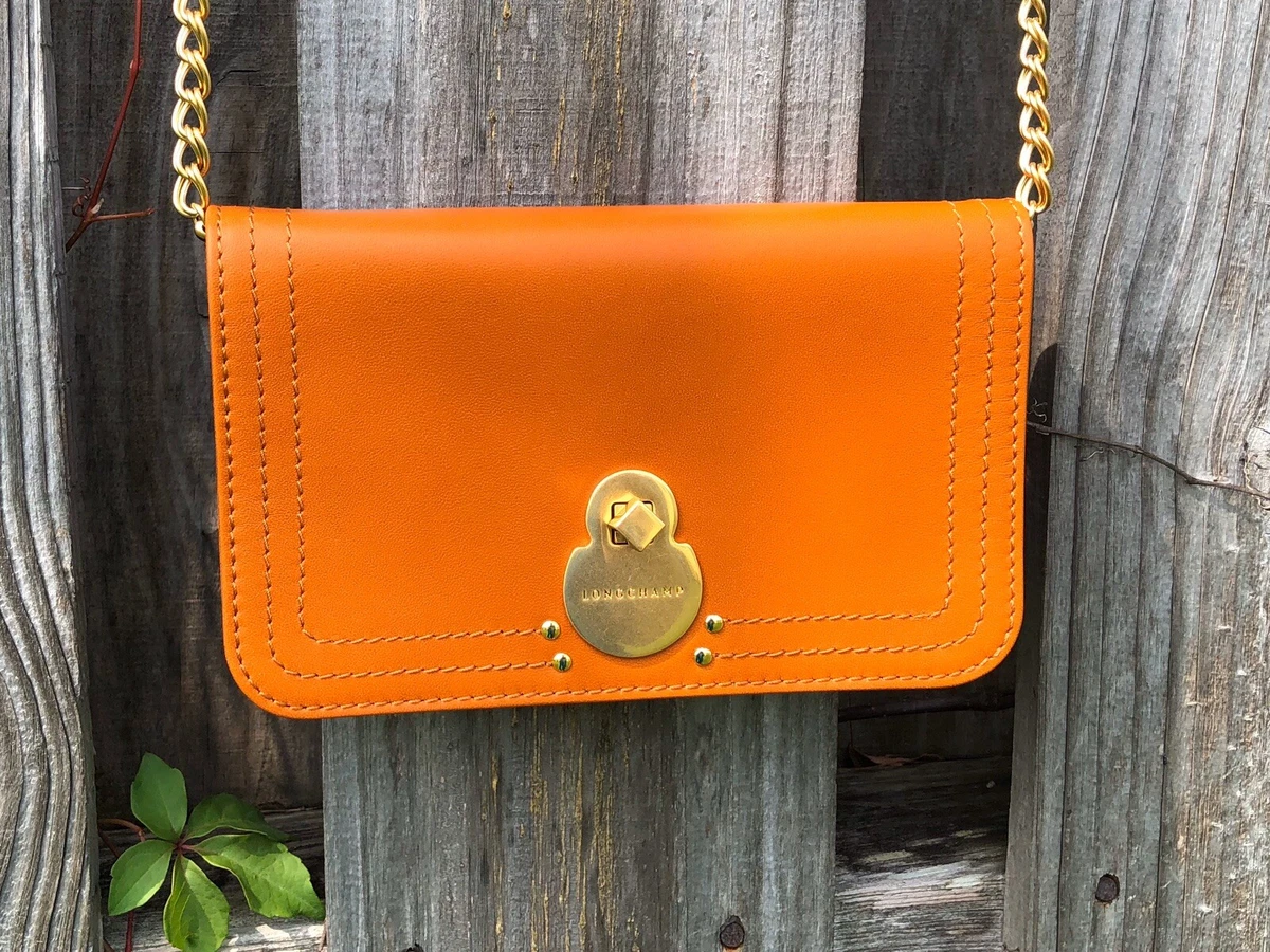 Ebay sales longchamp bag