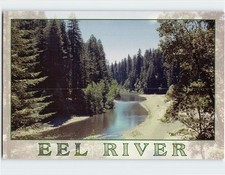Postcard The South Fork of the Eel River Redwoods of Northern California USA