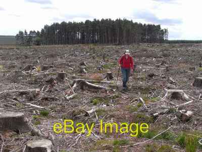 Photo 6x4 St Oswald's Way north of Fallowlees St Oswald's Way north of Fa c2009