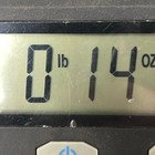 Bild 18 von 18