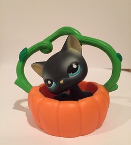 littlest pet shop black cat